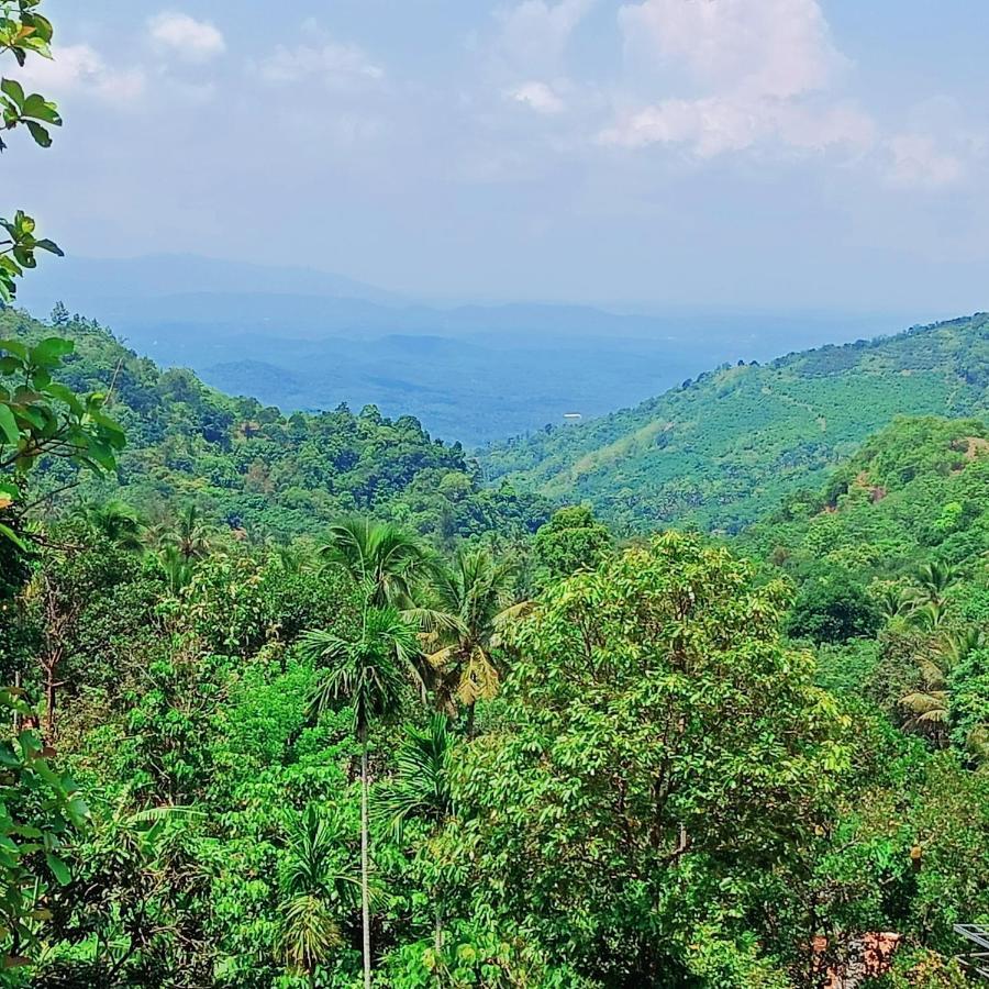 Forest And River Edge Resort 坎努尔 外观 照片