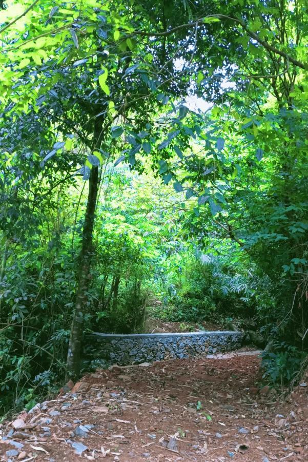 Forest And River Edge Resort 坎努尔 外观 照片