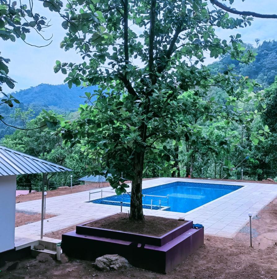 Forest And River Edge Resort 坎努尔 外观 照片