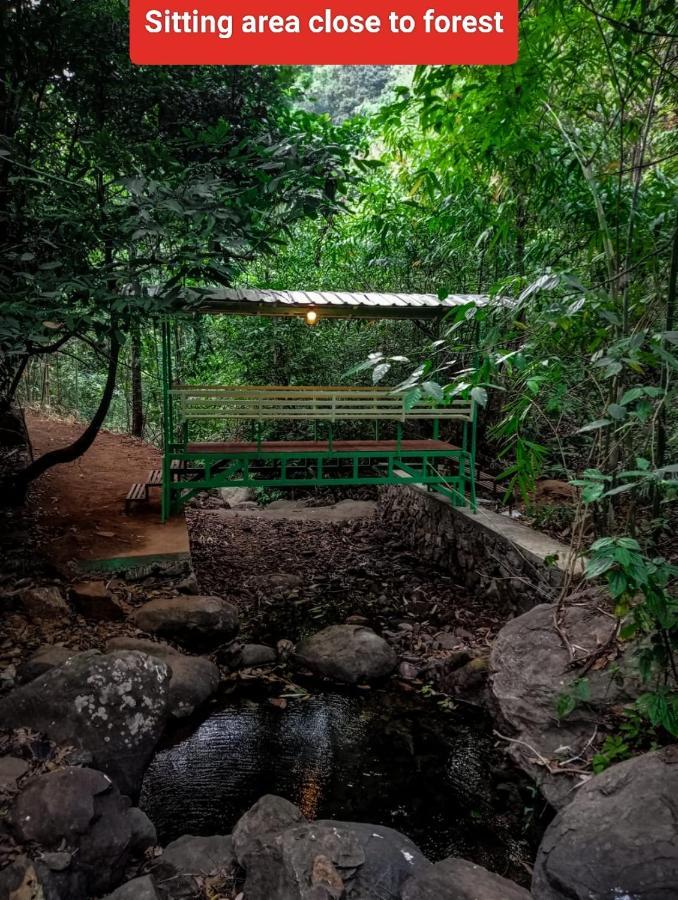 Forest And River Edge Resort 坎努尔 外观 照片